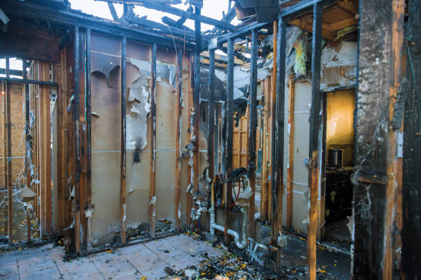 Professional Fire Damage Removal technician working in Iona, ID